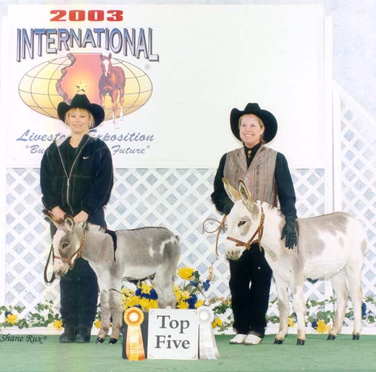 Expo2003